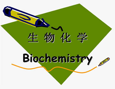 药学高起专《生物化学》在线学习视频课程试读